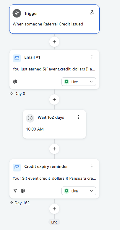 Klaviyo referral-credit flow — trigger, credit email, 162-day wait, expiry reminder